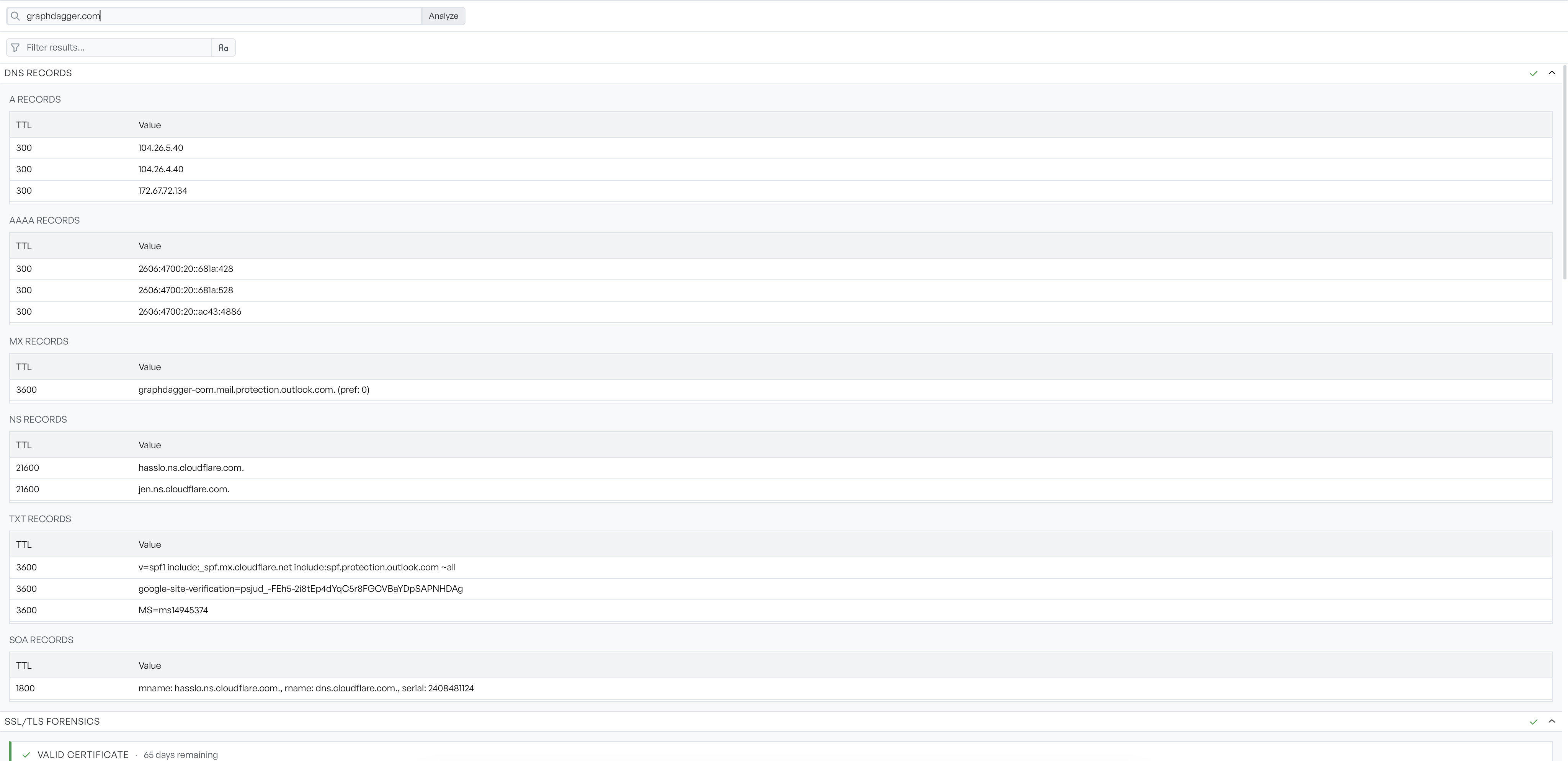 DNS results for a scanned domain grouped into A, AAAA, MX, NS, TXT and SOA record tables