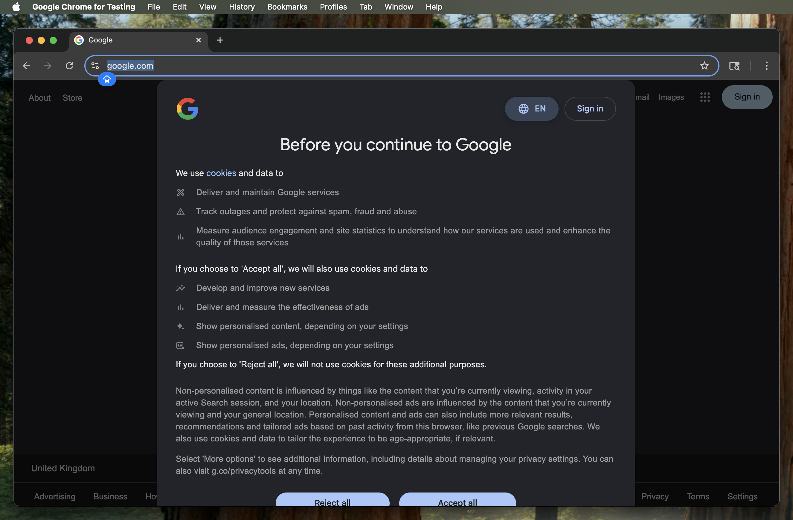 A browser window opened by the trace recorder, sitting on a web page ready to be driven